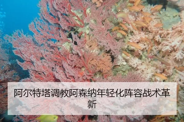 a-er-te-ta-tiao-jiao-a-sen-na-nian-qing-hua-zhen-rong-zhan-shu-ge-xin-2-483.jpg
