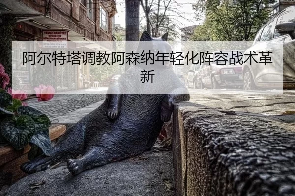 a-er-te-ta-tiao-jiao-a-sen-na-nian-qing-hua-zhen-rong-zhan-shu-ge-xin-1-455.jpg